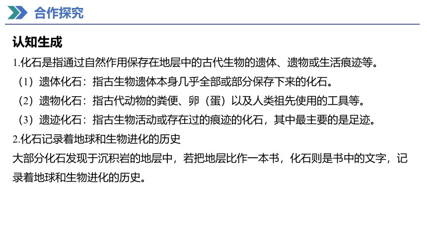 6.1 生物有共同祖先的证据 课件(共27张PPT) 2023-2024学年高一生物人教版（2019）必修第二册