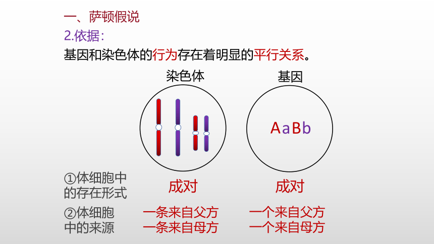 生物人教版（2019）必修2-2.2基因在染色体上课件（共44张PPT）