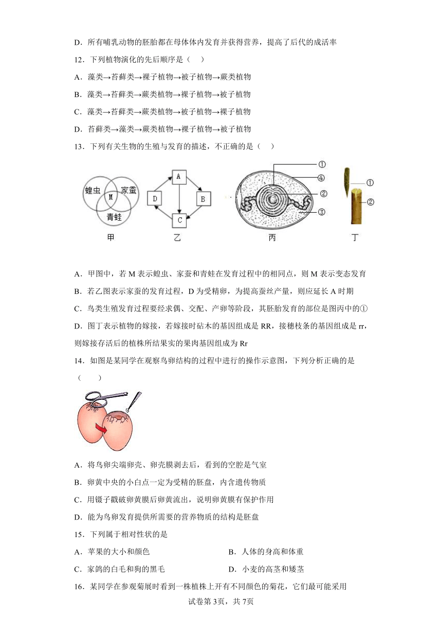 鲁教版生物八年级下册期末检测优化提升训练试题4（含解析）