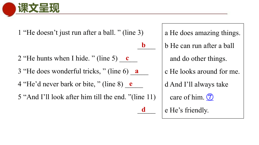 初中英语牛津译林版七年级下册同步课件：Unit 8 Pets  Period 2 Reading (共44张PPT)