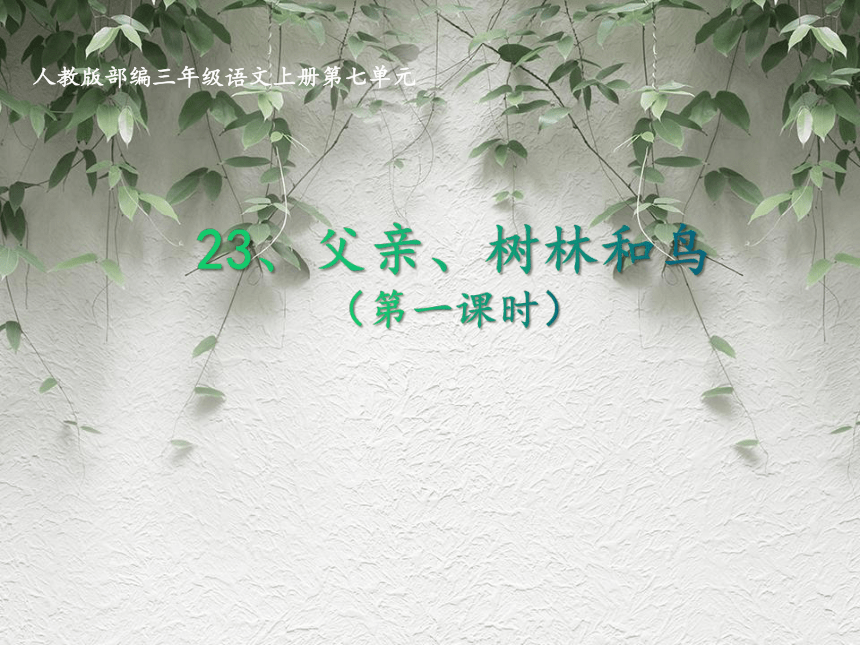 23 父亲、树林和鸟 课件 三年级语文上册 部编版（共23张ppt）