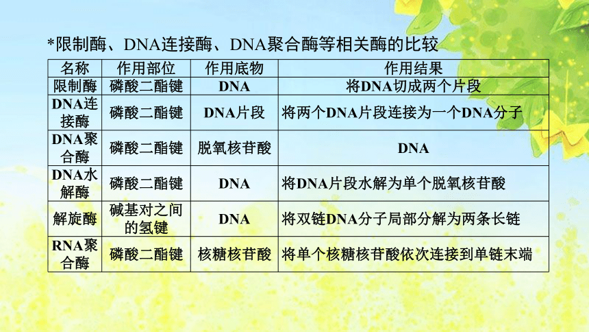 2022届高考生物备考-基因工程二轮复习课件（28张ppt）
