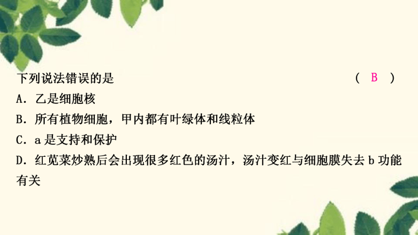 人教版生物七年级上册 期末复习专题(二)　第二单元生物体的结构层次 习题课件 (共22张PPT)