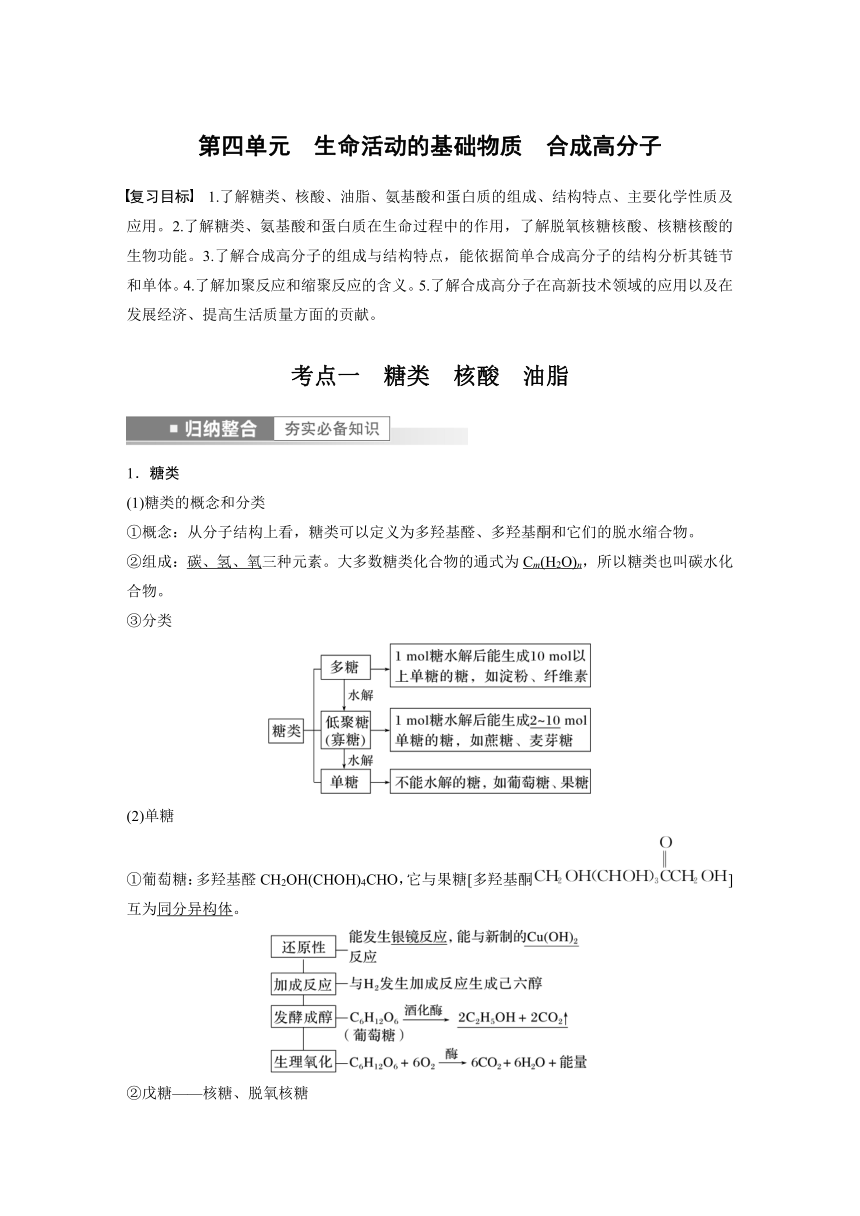 2023年江苏高考 化学大一轮复习 专题9 第四单元　生命活动的基础物质　合成高分子（学案+课时精练 word版含解析）