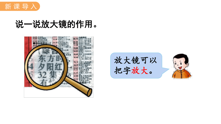 冀教版数学六年级上册  6.1放大与缩小  课件（18张ppt)