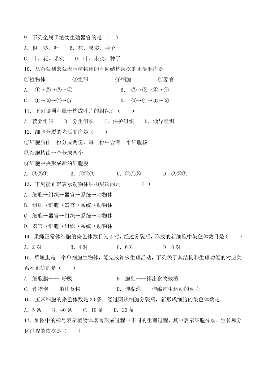 人教版七年级上册生物2.2细胞怎样构成生物体 练习题（word版 含答案）