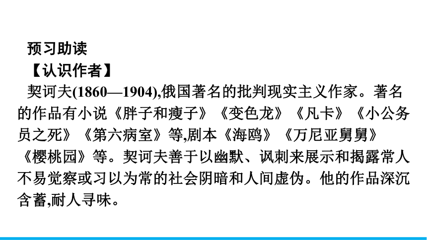 部编版必修下册第六单元13.2《装在套子里的人》课件（共45页PPT）