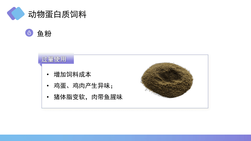 2.6蛋白质饲料 课件(共16张PPT)《畜禽营养与饲料》同步教学（高教版第二版）