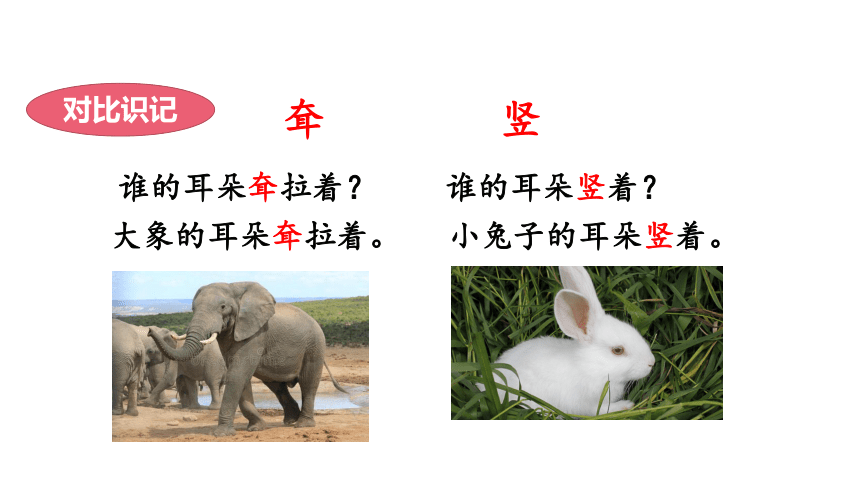 19 大象的耳朵    课件 (共59张PPT)