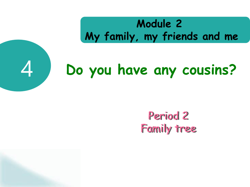 Module 2 Unit 4 Do you have any cousins? Period 2 课件(共23张PPT)