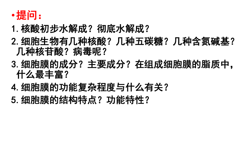 2021-2022学年高一上学期生物人教版必修一3.2细胞器之间的分工合作课件（44张）