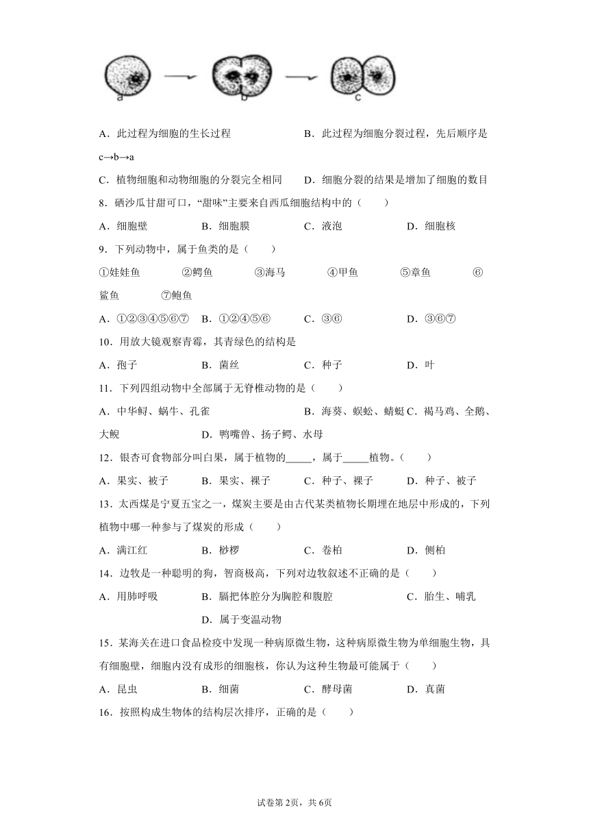 宁夏银川市2020-2021学年七年级下学期期末生物试题(word版含答案)