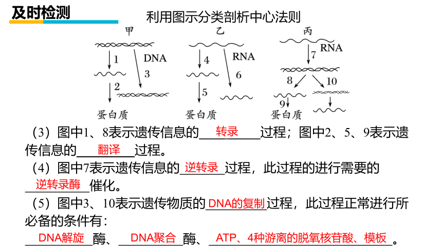 2021-2022学年高一下学期生物人教版必修2  4.2基因对性状的控制课件 （27张ppt）