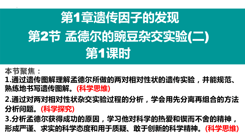 1.2 孟德尔的豌豆杂交实验（二）课件(共48张PPT)-2023-2024学年高一下学期生物人教版必修2