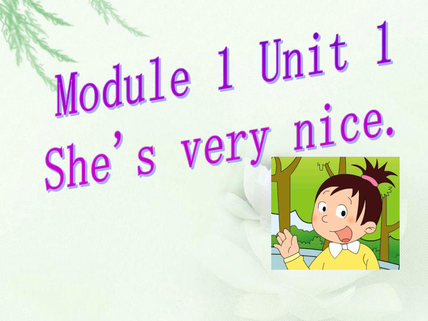 Module 1 Unit 1 She’s very nice. 课件(共18张PPT)