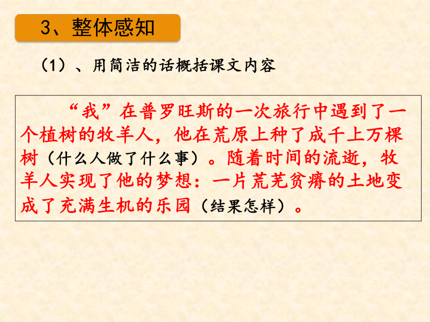 13《植树的牧羊人》课件(共25张ppt)