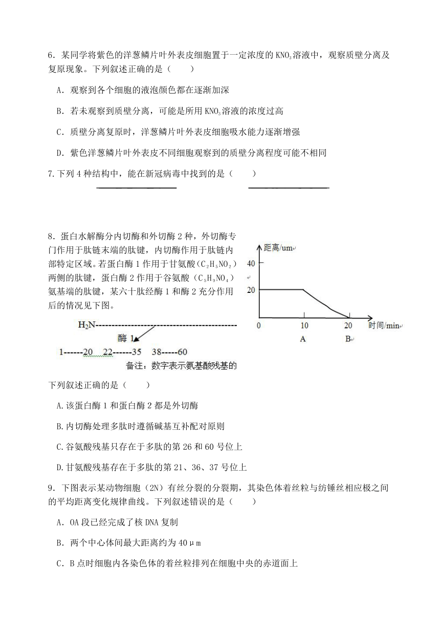 浙江省台金六校2022-2023学年高二下学期期中联考生物学试题（含答案）