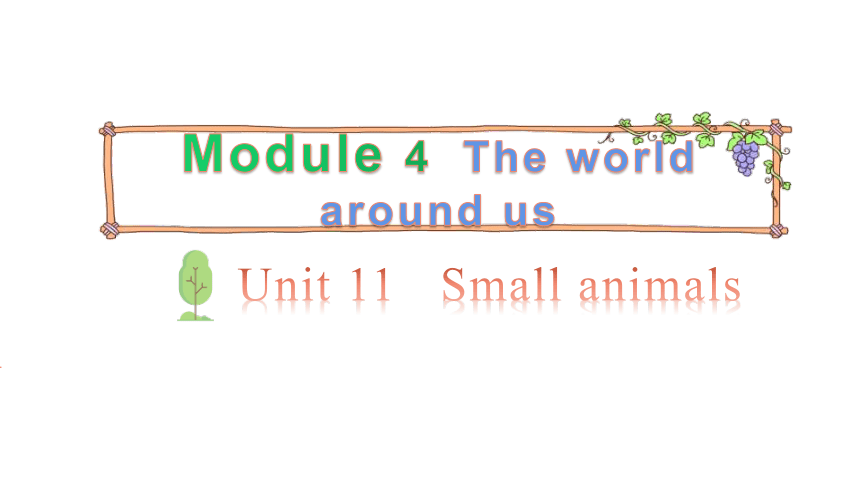 Unit 11 Small animals第一课时课件（共26张PPT）