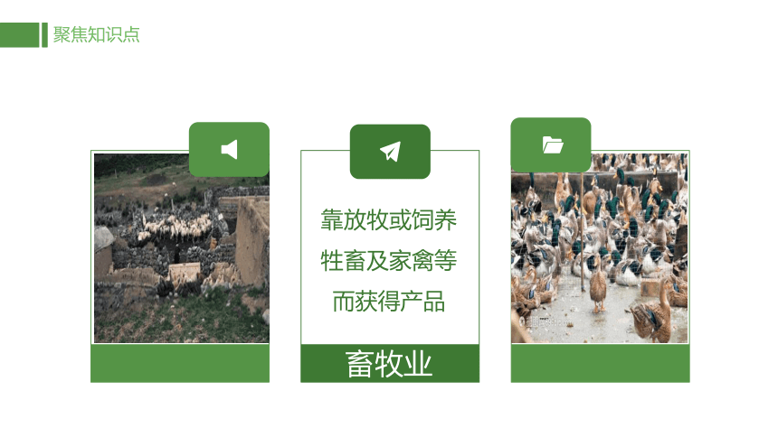 初中地理八上知识点课件 130 农业及其重要性-中国的农业
