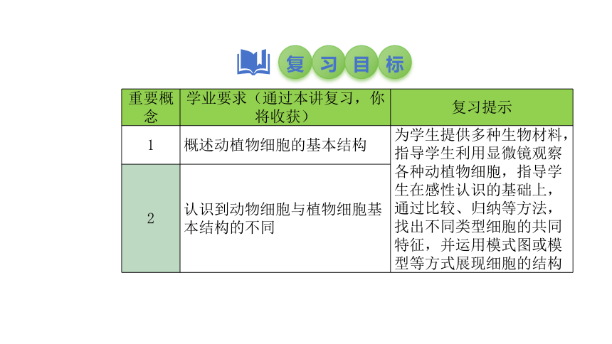 2024中考一轮复习：第4讲 细胞的结构及功能、细胞的生活课件(共38张PPT)