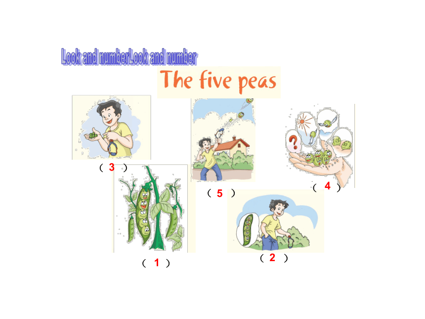 Module  4 Unit 12 The five peas 课件（17张PPT)
