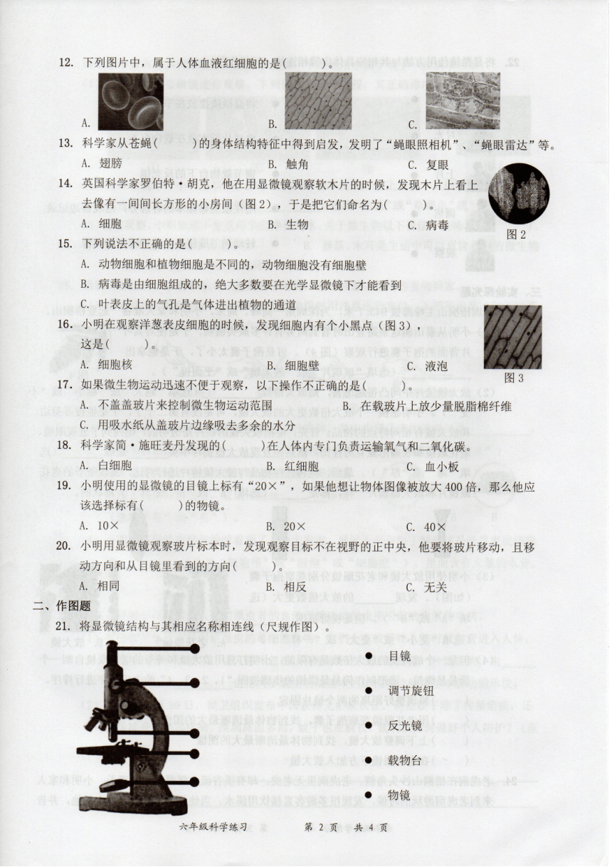 广东省深圳市罗湖区2022-2023学年科学六年级上册第一单元 微小世界 练习卷（PDF版，无答案）