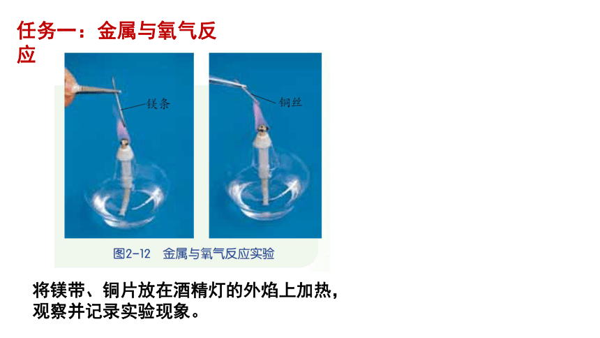 2.2 金属的化学性质 第一课时(课件 19张PPT)