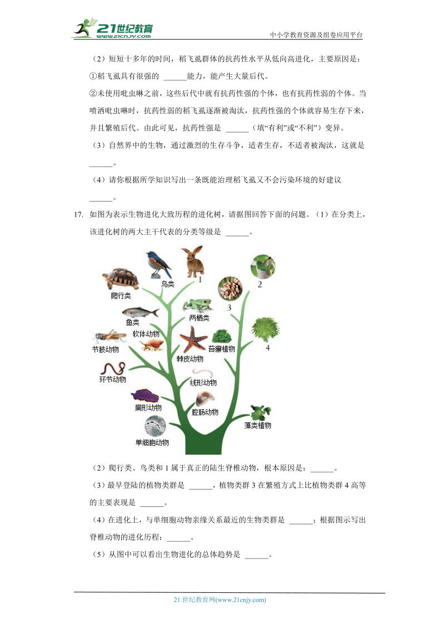 苏教版初中生物八年级上册16.3生物进化的学说 同步练习（含答案解析）