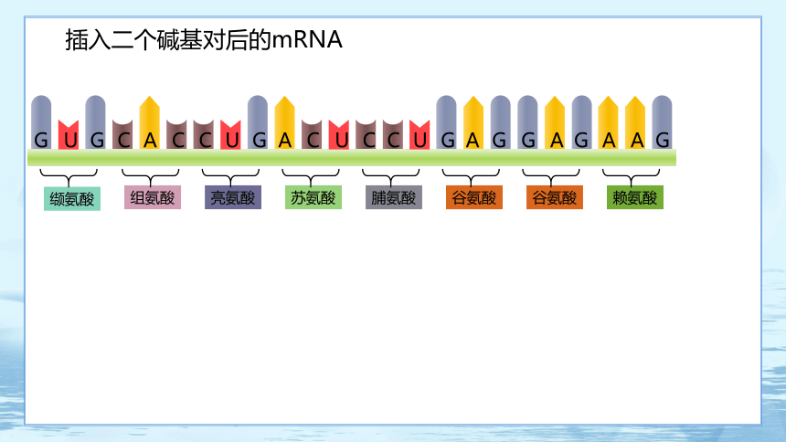 5.1 基因突变和基因重组 课件（60张ppt）高中生物学人教版（2019）必修2