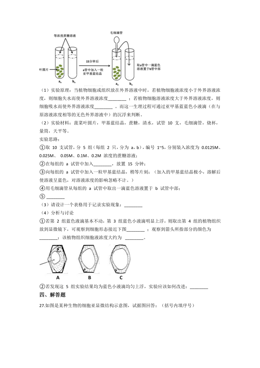 河南省漯河市临颍县第一高中2021-2022学年高一11月月考生物试卷（Word版含答案）