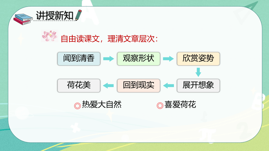 3 荷花   课件（共35张PPT）