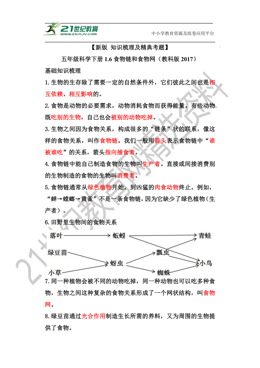 【新版 知识梳理及精典考题】五年级科学下册1.6食物链和食物网