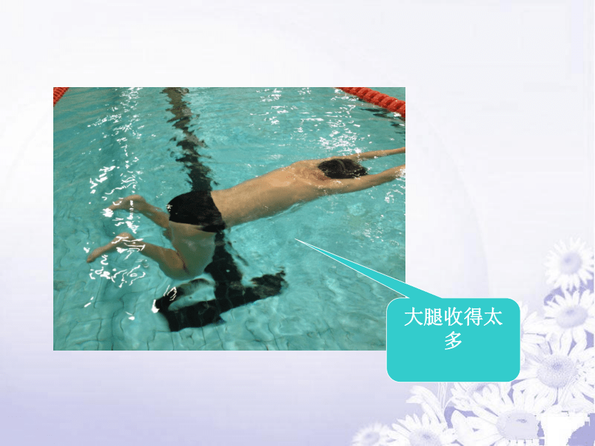 人教版七年级体育 9蛙泳 课件（51ppt）