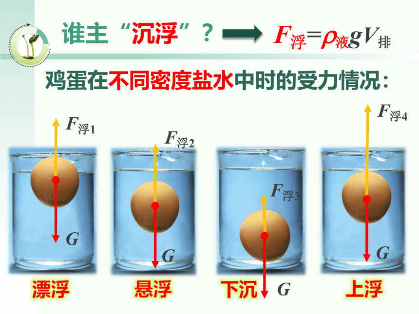 沪粤版物理八年级下册 9.3. 研究物体的浮沉条件 课件 (共16张PPT)