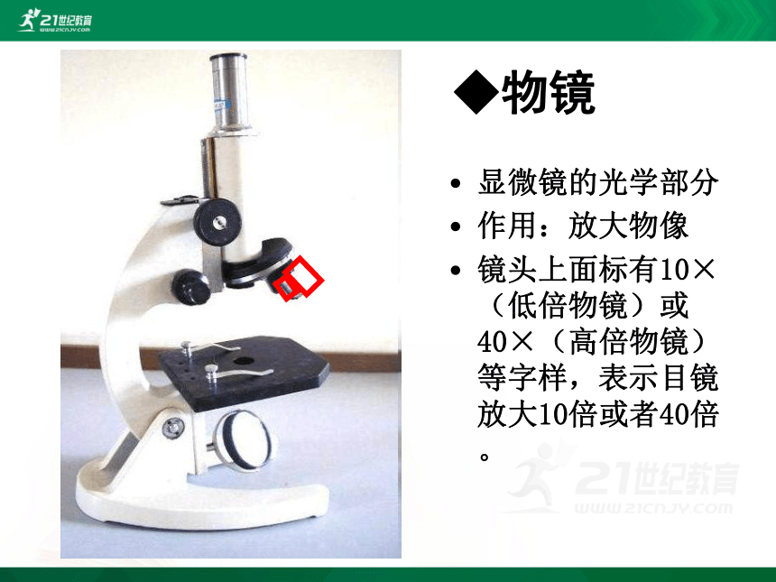 2.1.1  练习使用显微镜 课件(共39张PPT)