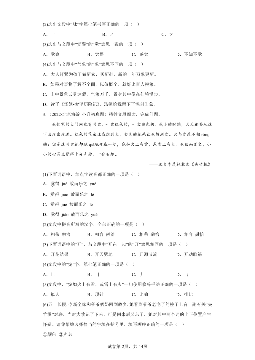 北京市三年（2020-2022）小升初语文真题分题型分层汇编-06现代文阅读（有解析）