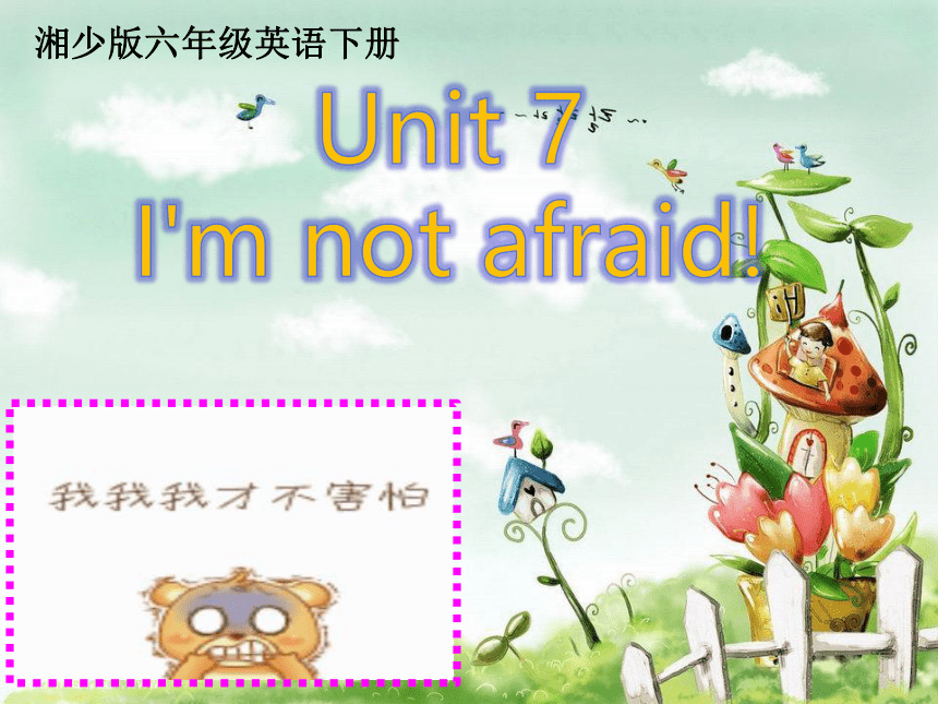 Unit 7 I'm not afraid 课件（21张PPT）