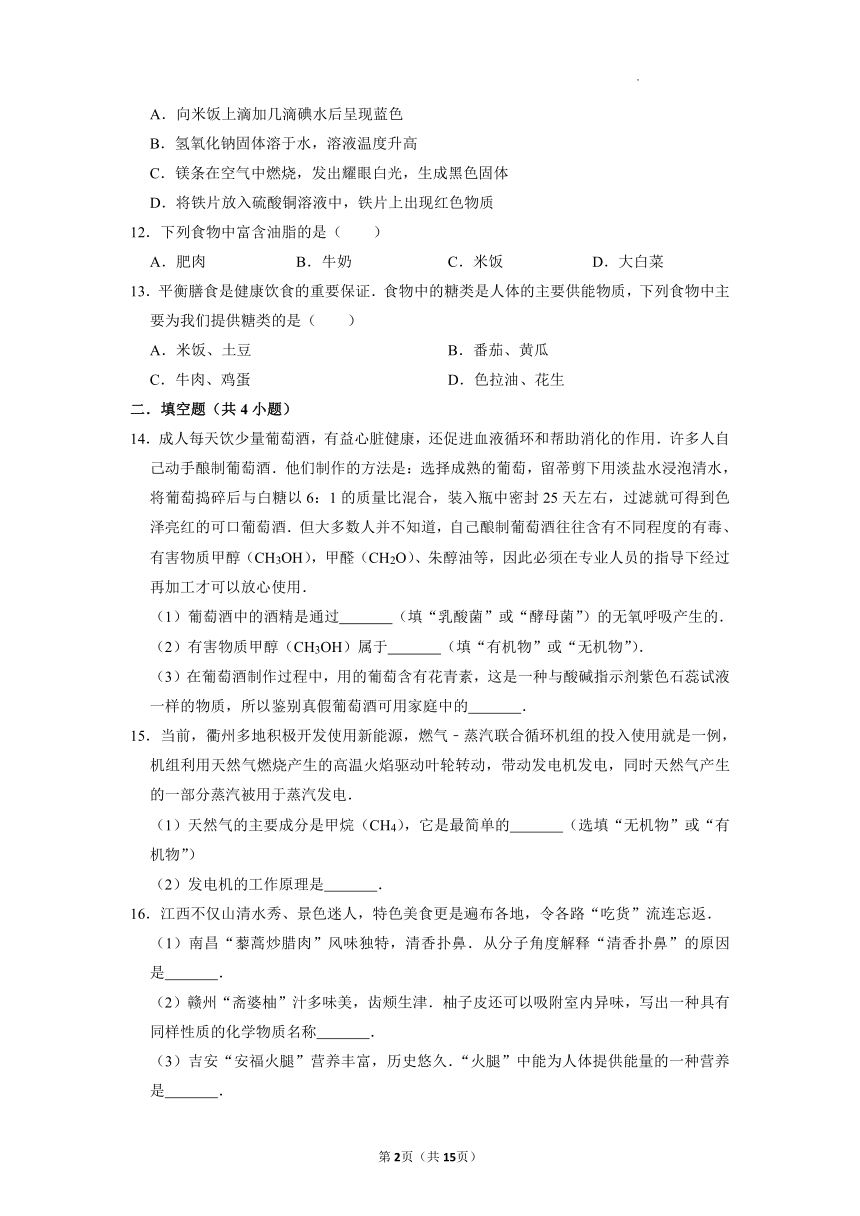 10.1食物中的有机物课后作业—2021-2022学年九年级化学鲁教版下册（word版 含解析）