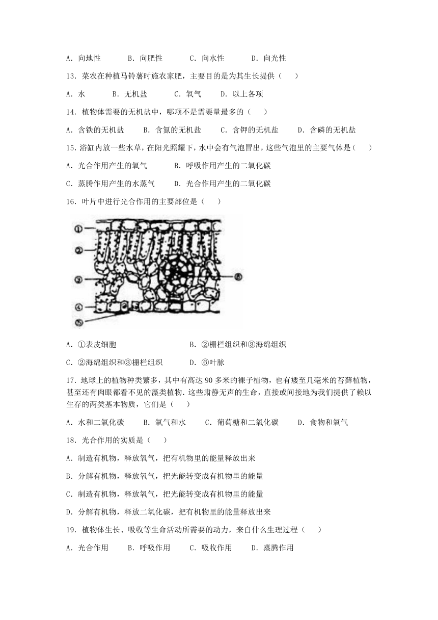 河北省保定市第十三中学2022-2023学年八年级上学期期末生物试题（含答案）