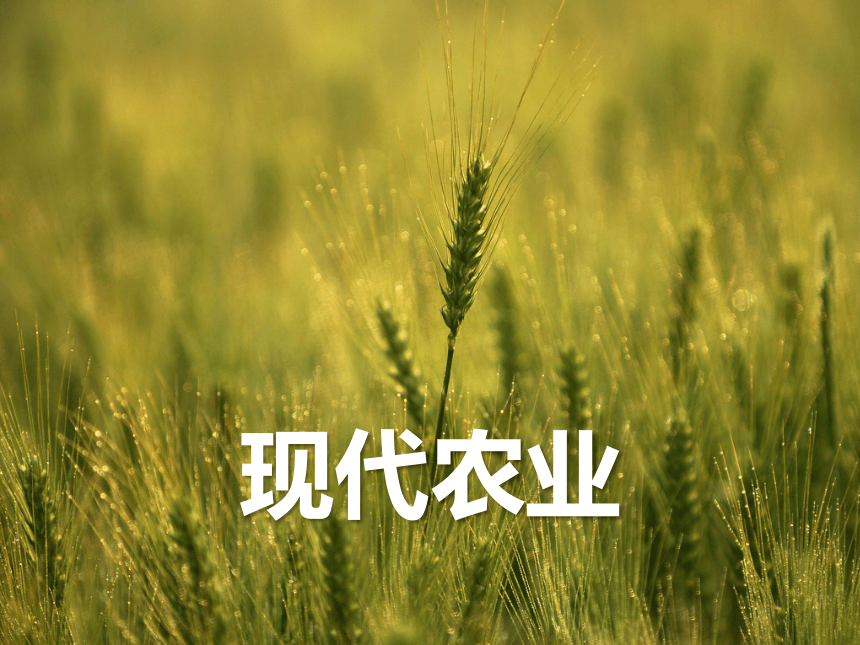 中图版（上海）第二册：专题22 农业区位与农业地域类型——现代农业 课件（16张PPT）
