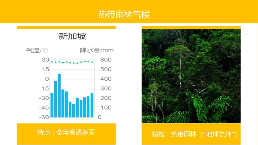 4.4世界主要气候类型   同步课件  初中地理湘教版七年级上册2022-2023学年（共36张PPT）