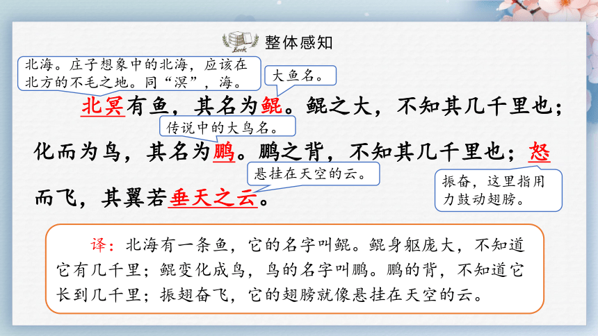 21《庄子》二则（第一课时）（课件）-2022-2023学年八年级语文下册同步精品课件