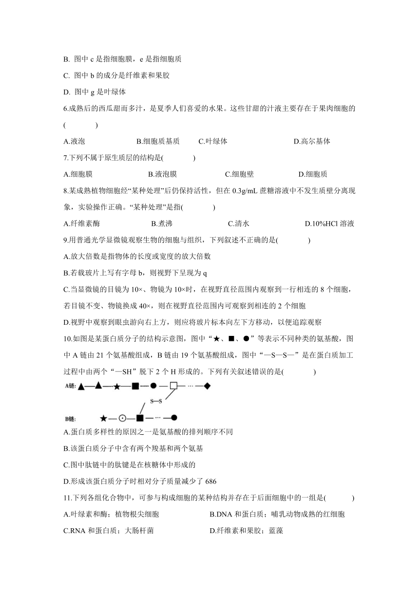 吉林省辉南县第六中学2021-2022学年高一上学期11月周测生物试卷（Word版含答案）