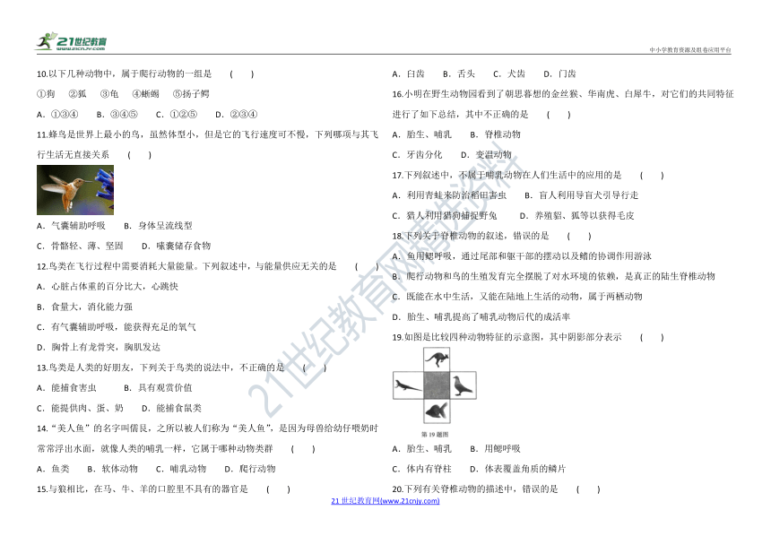 第五单元 第一章 动物的主要类群 提高测试卷（含答案解析）