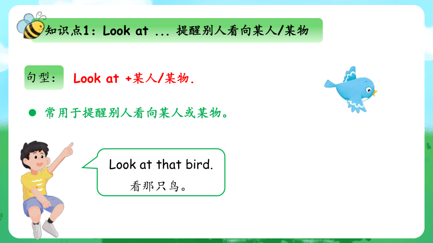 Unit 3 At the Zoo 单元复习(四)-语法+典型例题（共33张PPT）