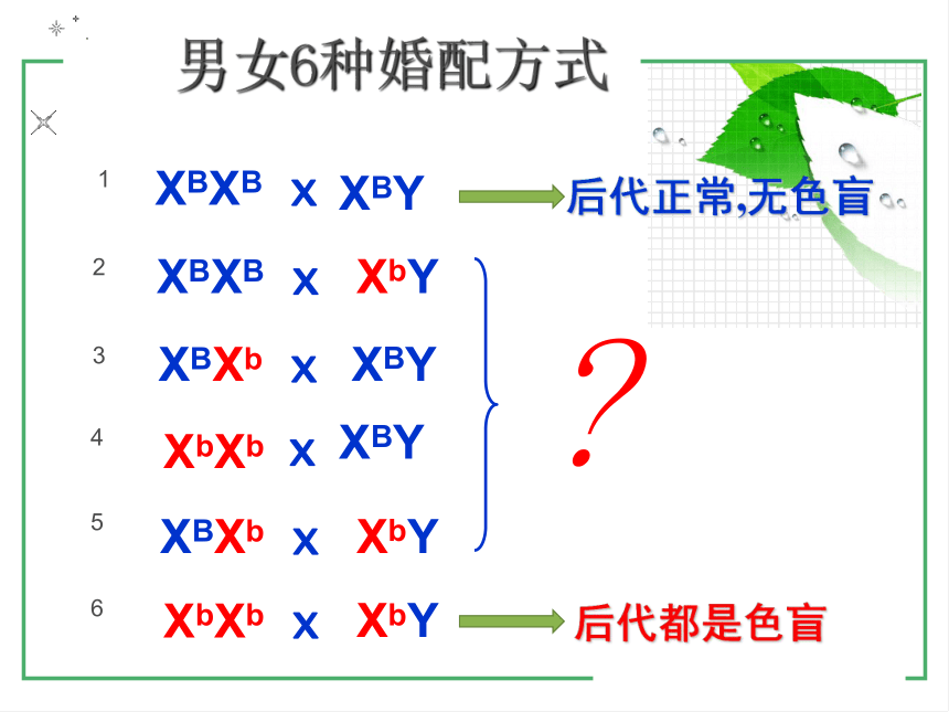 2021-2022学年高一下学期生物人教版必修2  2.3伴性遗传课件(共21张PPT)