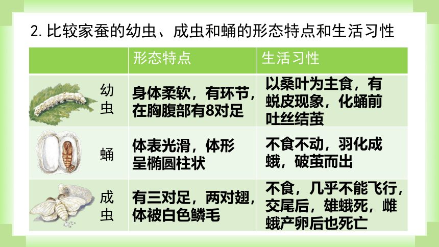 人教版生物八年级下册课件7-1-2昆虫的生殖和发育(共30张PPT)