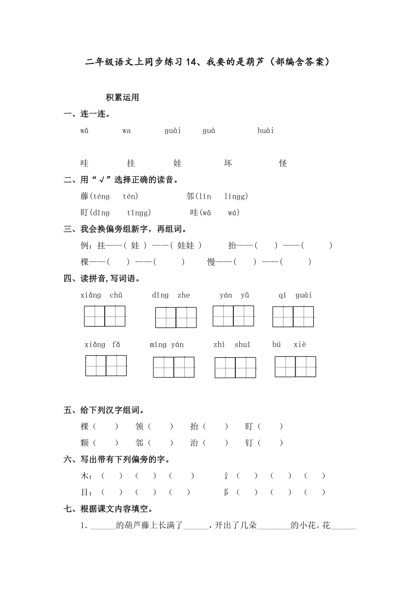 14、我要的是葫芦   同步练习（ 含答案）