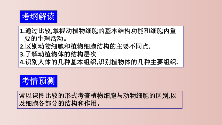 第二单元 生物体的结构层次 复习课件(共26张PPT) 2021--2022学年人教版生物七年级上册