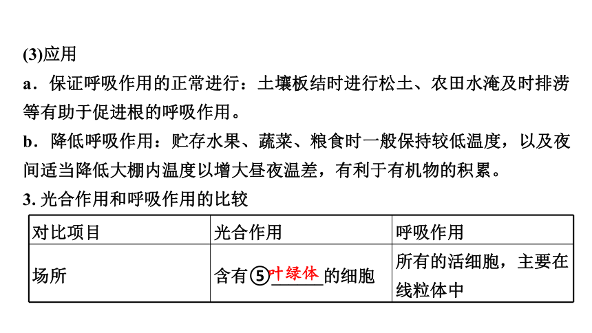 3.4  植物的光合作用、呼吸作用与植物在生物圈中的作用复习课件(共59张PPT)